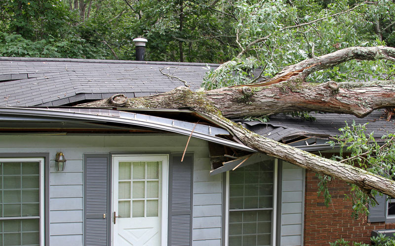 4 Steps for Managing Storm Damage to Your Roof in Washington DC