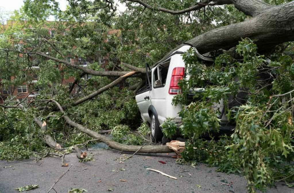 May 2022 fallen tree on car Potomac River, Arlington, Alexandria, Fairfax, Fort Washington