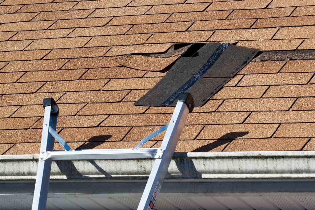 best Chantilly, VA roof repair company