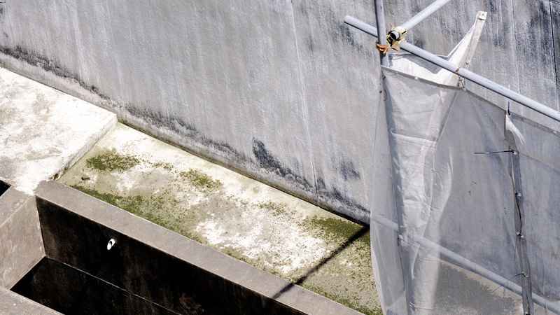 flat roof leak detection in Alexandria