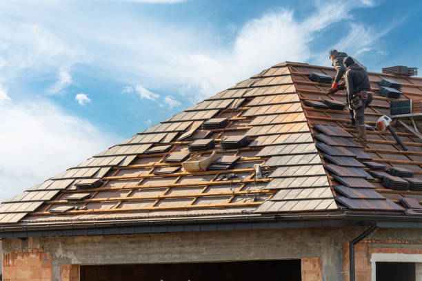 storm damage restoration specialist Alexandria