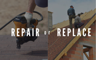 Should My Roof Be Repaired or Replaced  in Alexandria