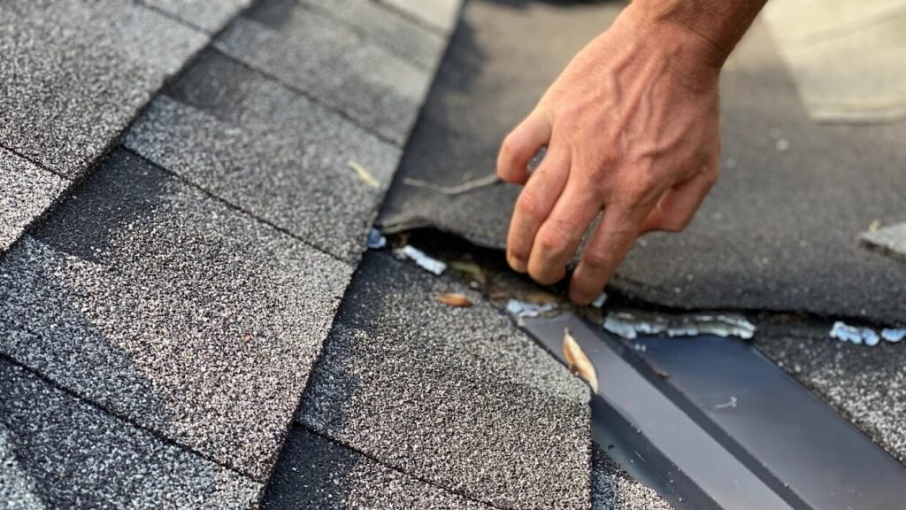 signs of roof damage during home tour