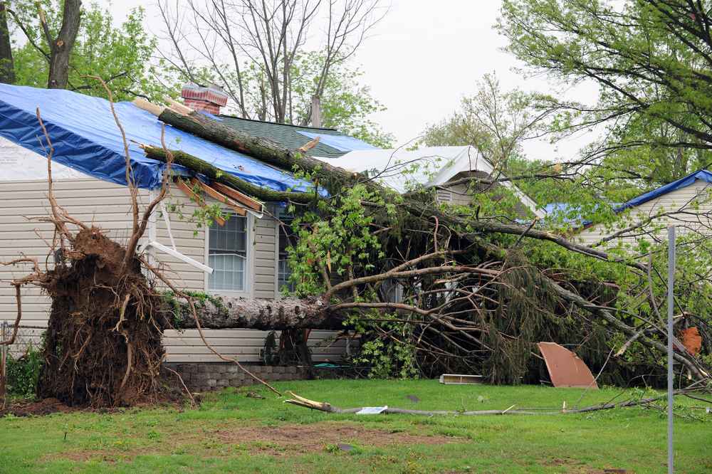 trusted storm damage repair expert in Reston VA