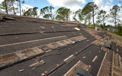Signs Your Asphalt Shingle Roof Needs Replacement Before Fall Hits