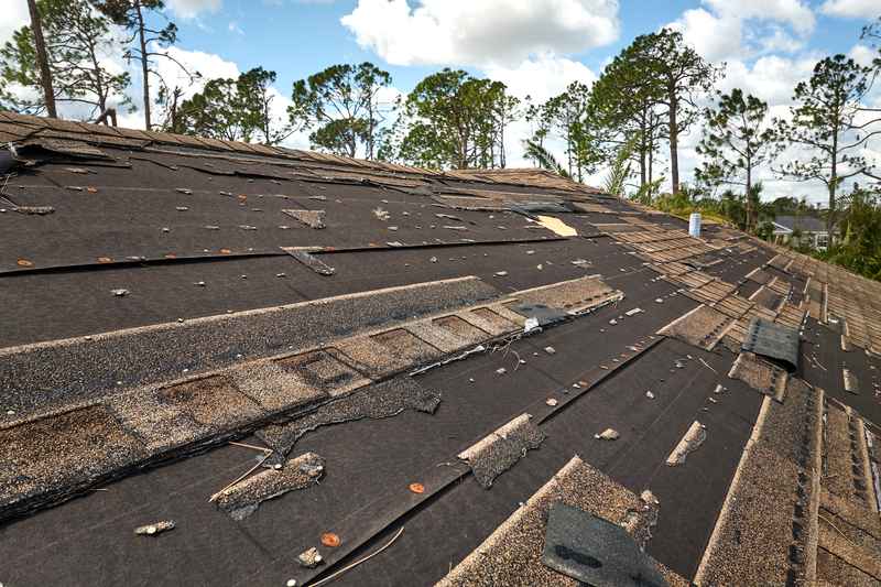 Signs Your Asphalt Shingle Roof Needs Replacement Before Fall Hits