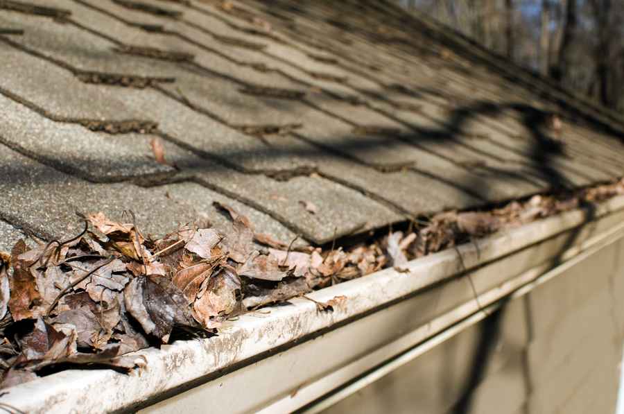 Signs Your Asphalt Shingle Roof Needs Replacement