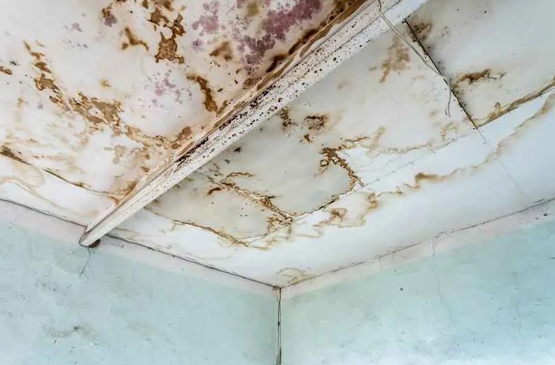 signs wind-driven rain entered your roof